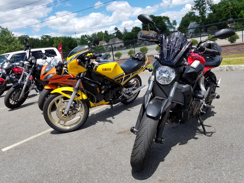 Illustration for article titled My FZ made a friend
